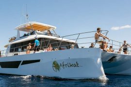 Afrikat boat excursion boat trip