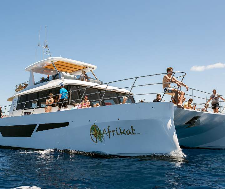 Afrikat boat excursion boat trip