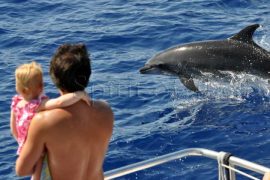 Tour de avistamiento de delfines Gran Canaria